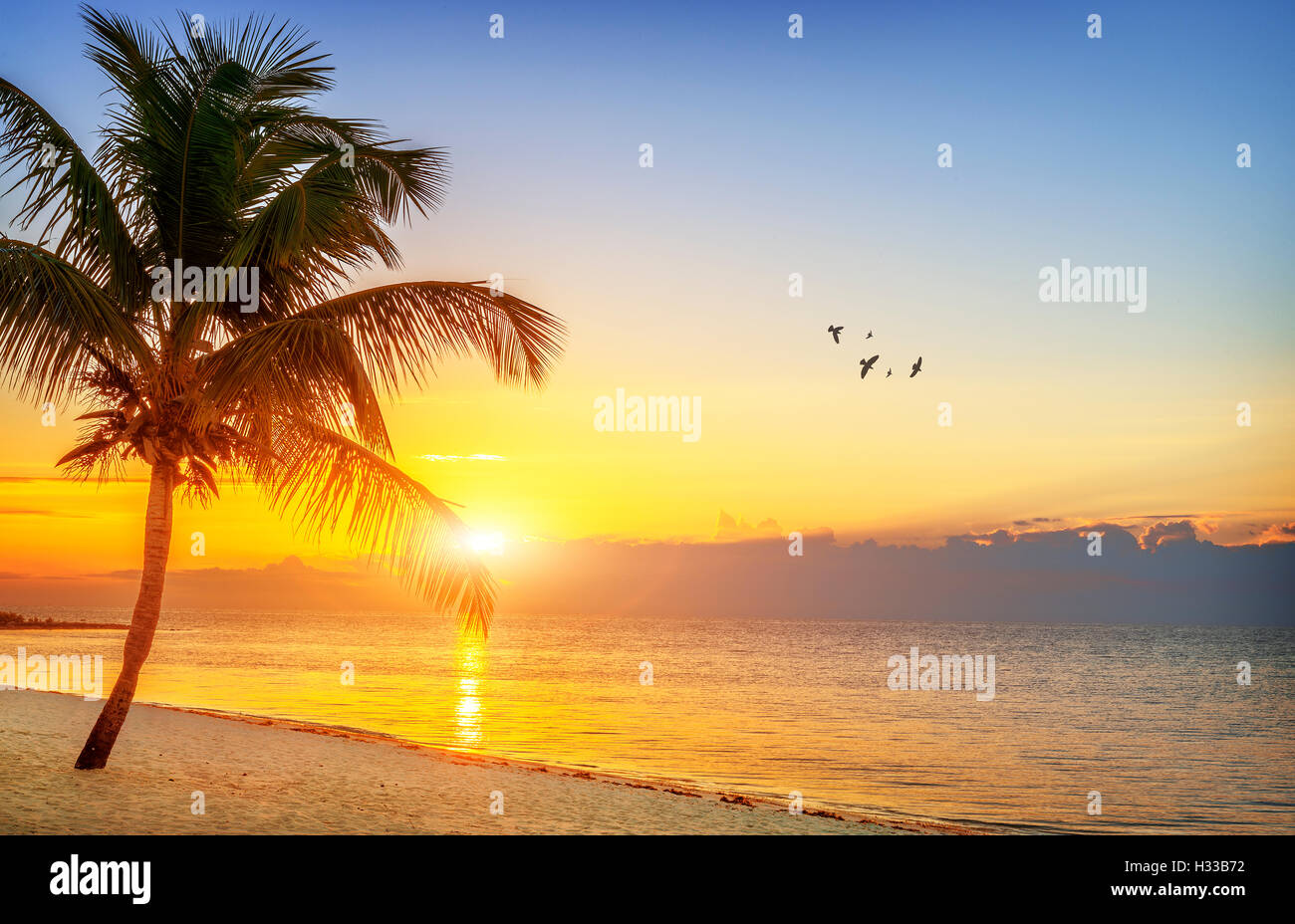 Sunset on the beach Stock Photo - Alamy