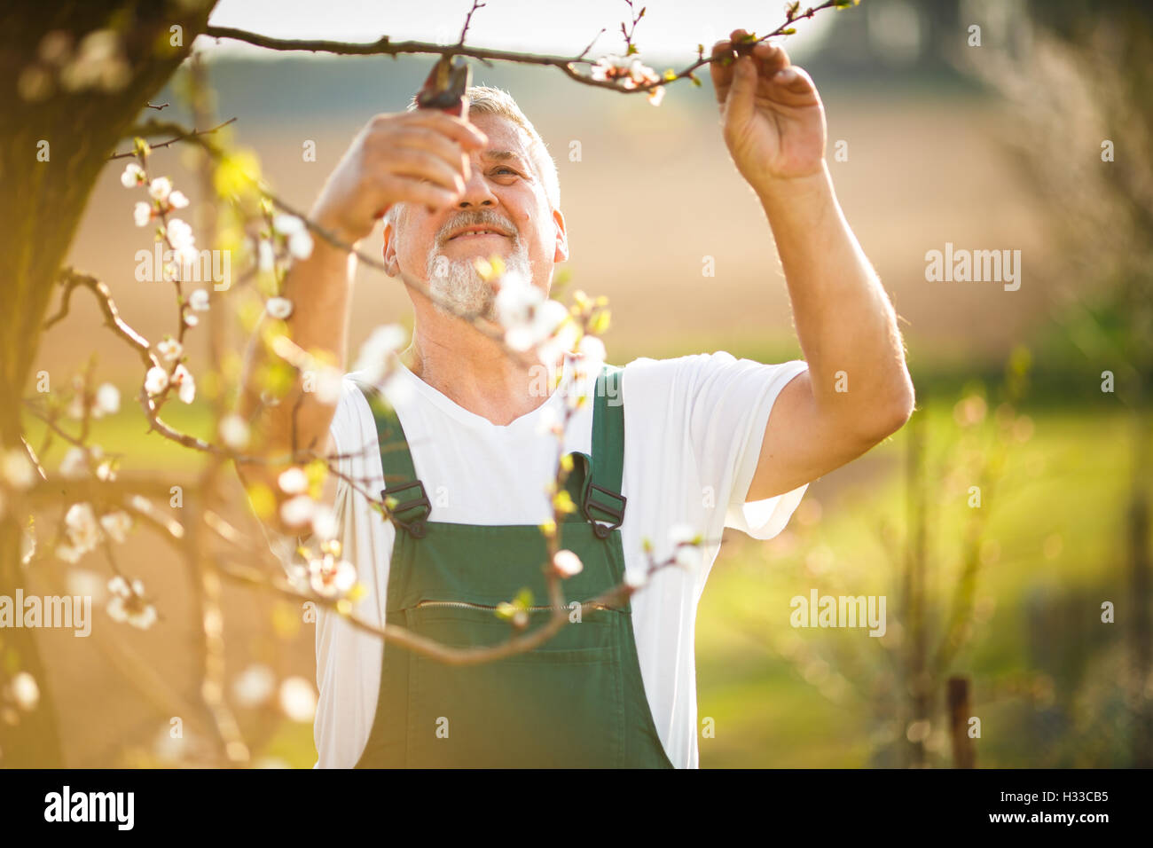 Portrait of a handsome senior man gardening in his garden Stock Photo