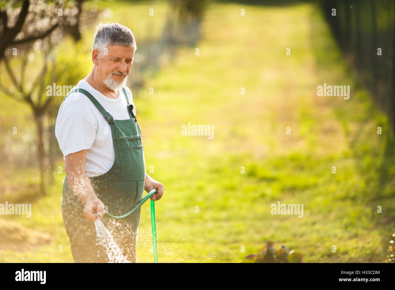 Portrait of a handsome senior man gardening in his garden Stock Photo ...
