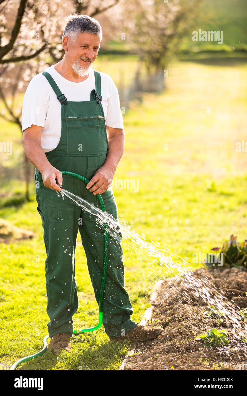 Portrait of a handsome senior man gardening in his garden Stock Photo ...