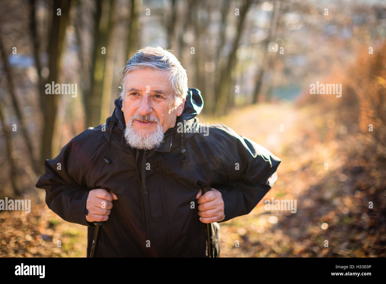 Senior man nordic walking, enjoying the outdoors Stock Photo