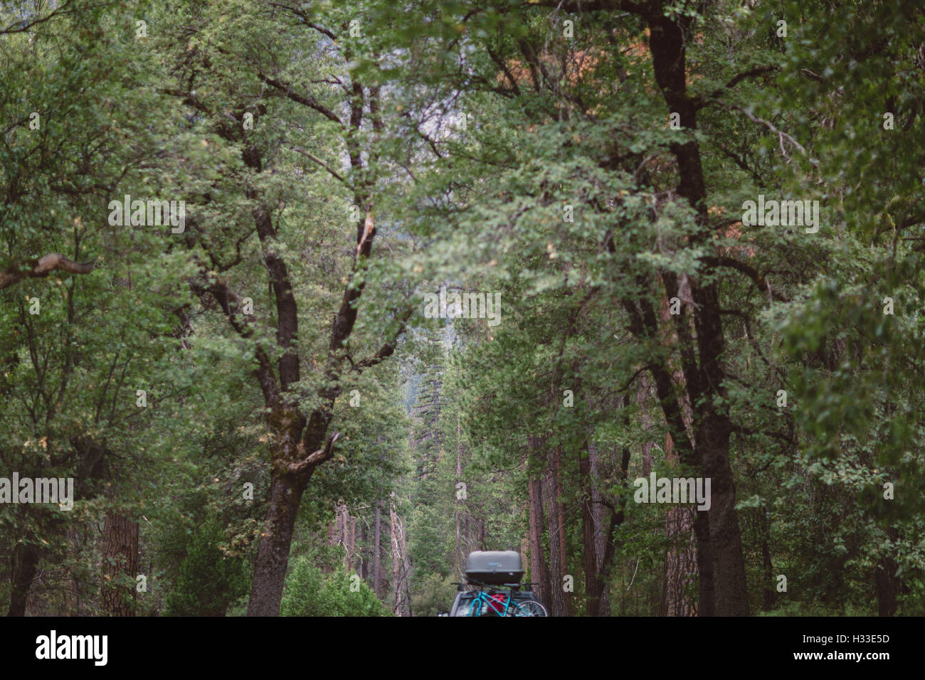 car in yosemite national park Stock Photo Alamy