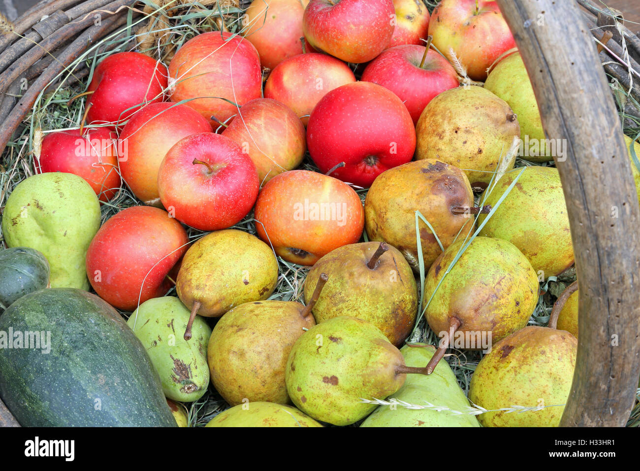 Fruit seller fruiterer hi-res stock photography and images - Alamy
