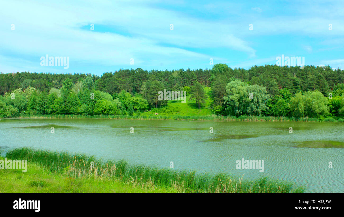 beautiful summer landscape with picturesque lake in the forest Stock ...