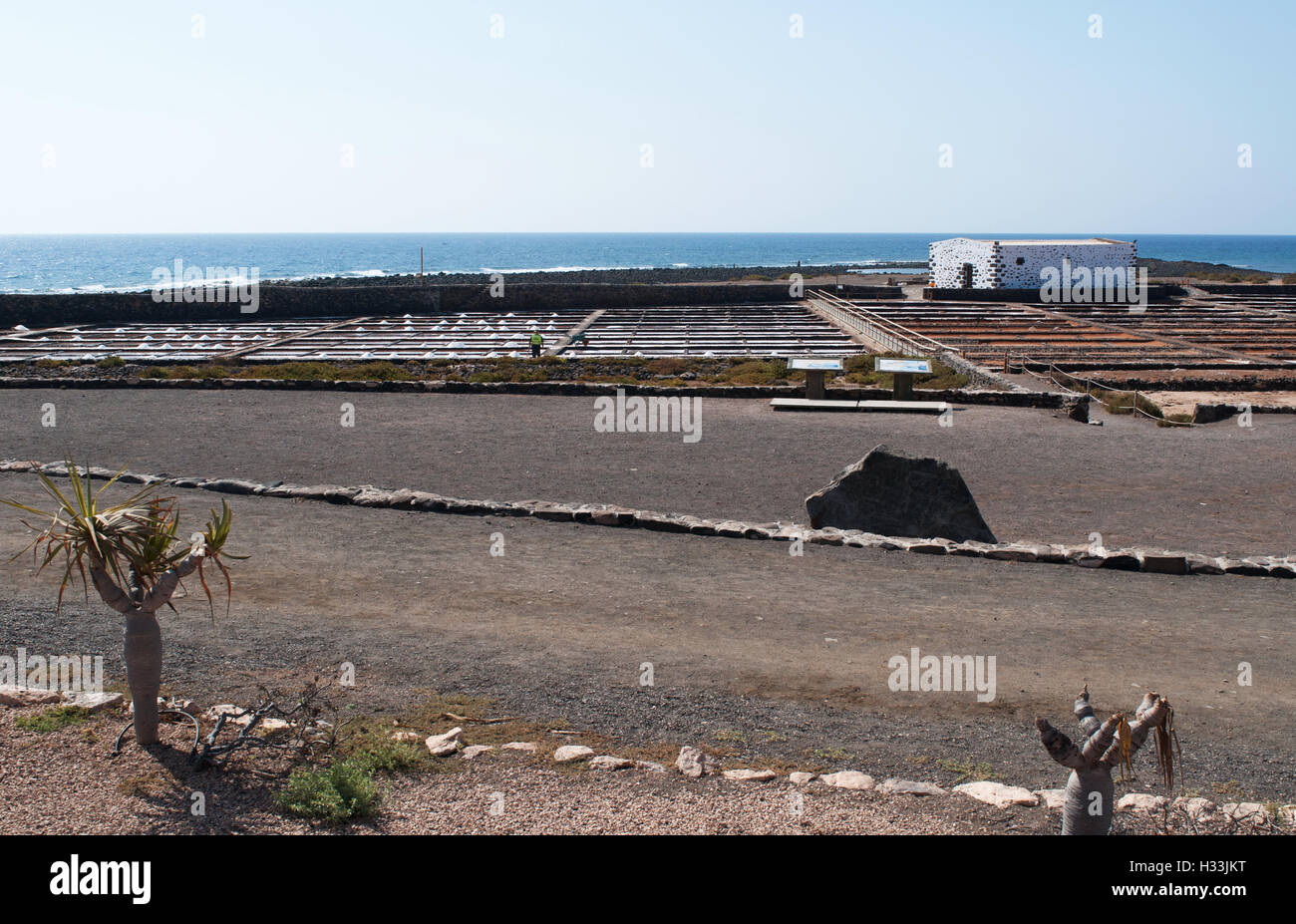 Fuerteventura: the salt pans at Las Salinas del Carmen Stock Photo