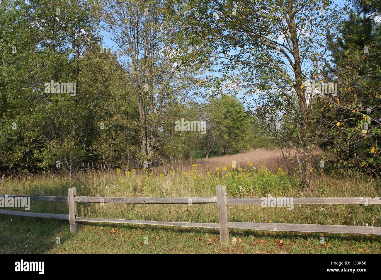 Late Summer Meadow Beyond a Split Rail Fence Stock Photo