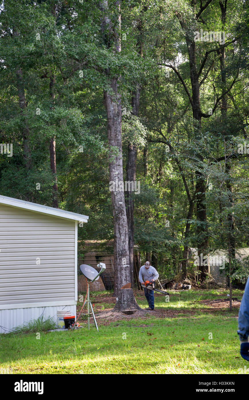 Tree Removal Using Water Tree removal from wooded hi-res stock photography and images - Alamy