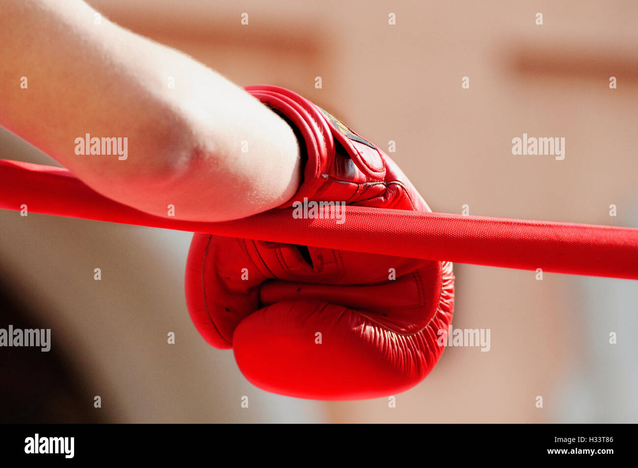 Boxing ring ropes hires stock photography and images Alamy