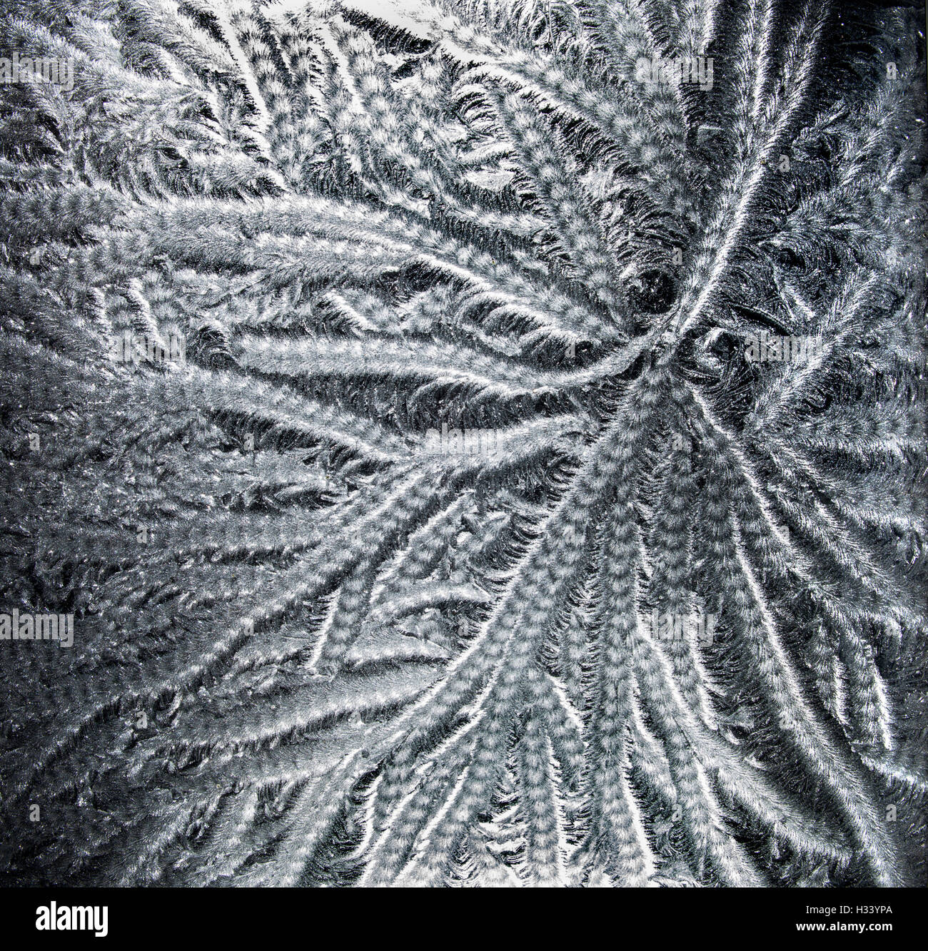 Frost on a window Stock Photo