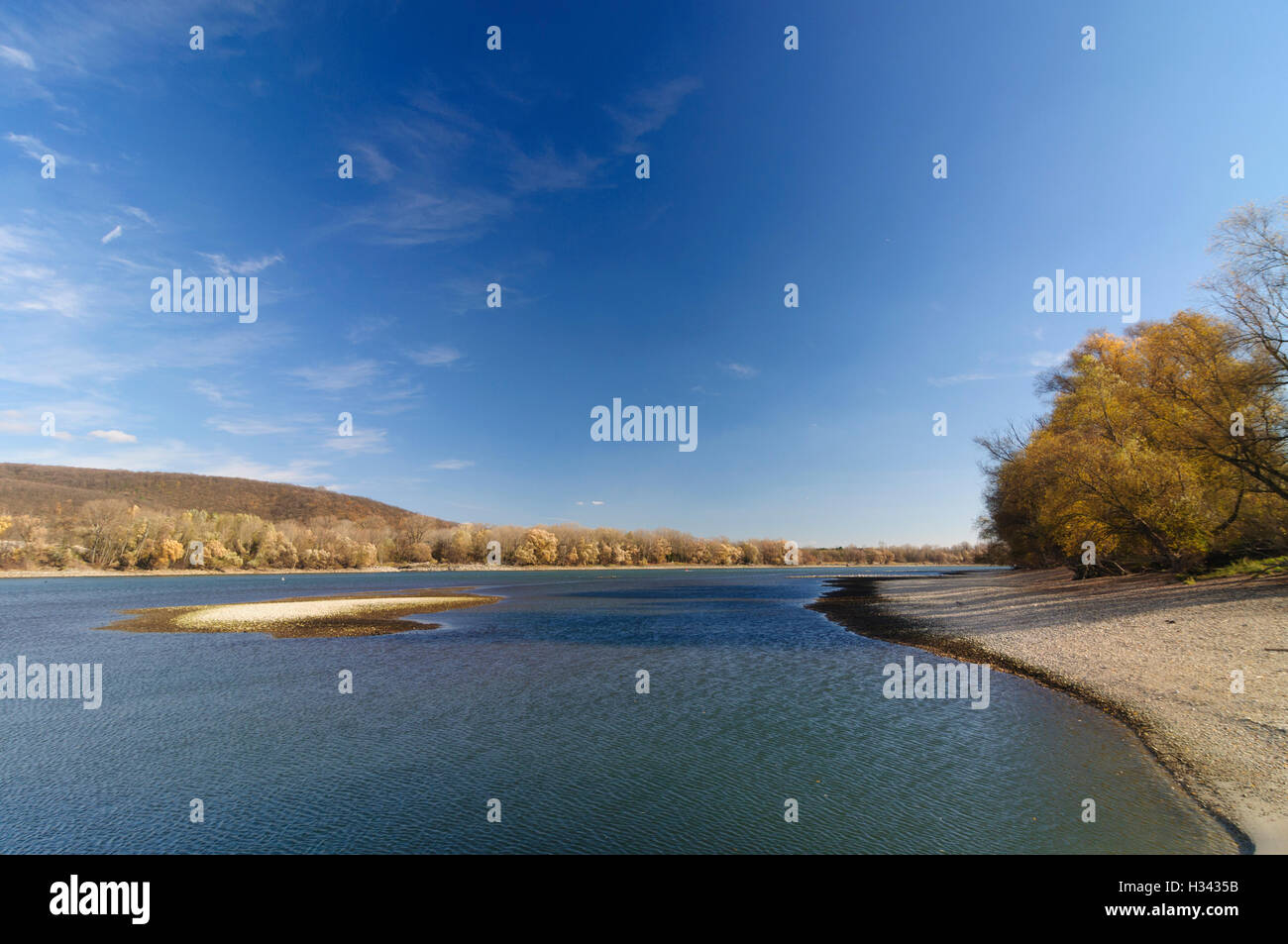 Hainburg an der Donau: Danube in Danube-Auen National Park, Donau, Niederösterreich, Lower Austria, Austria Stock Photo