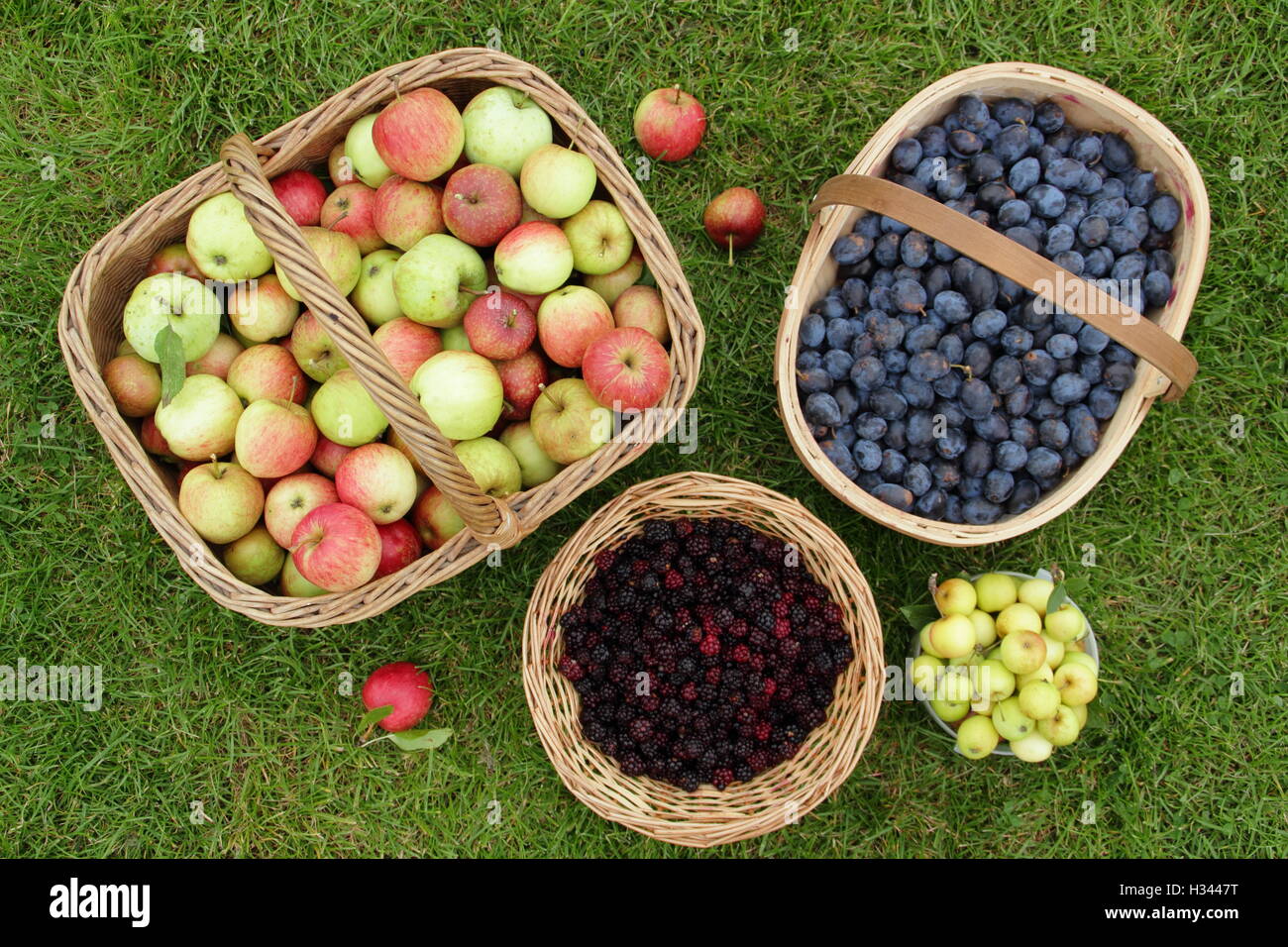 Baskets filled with wild fruits and berries including blackberries
