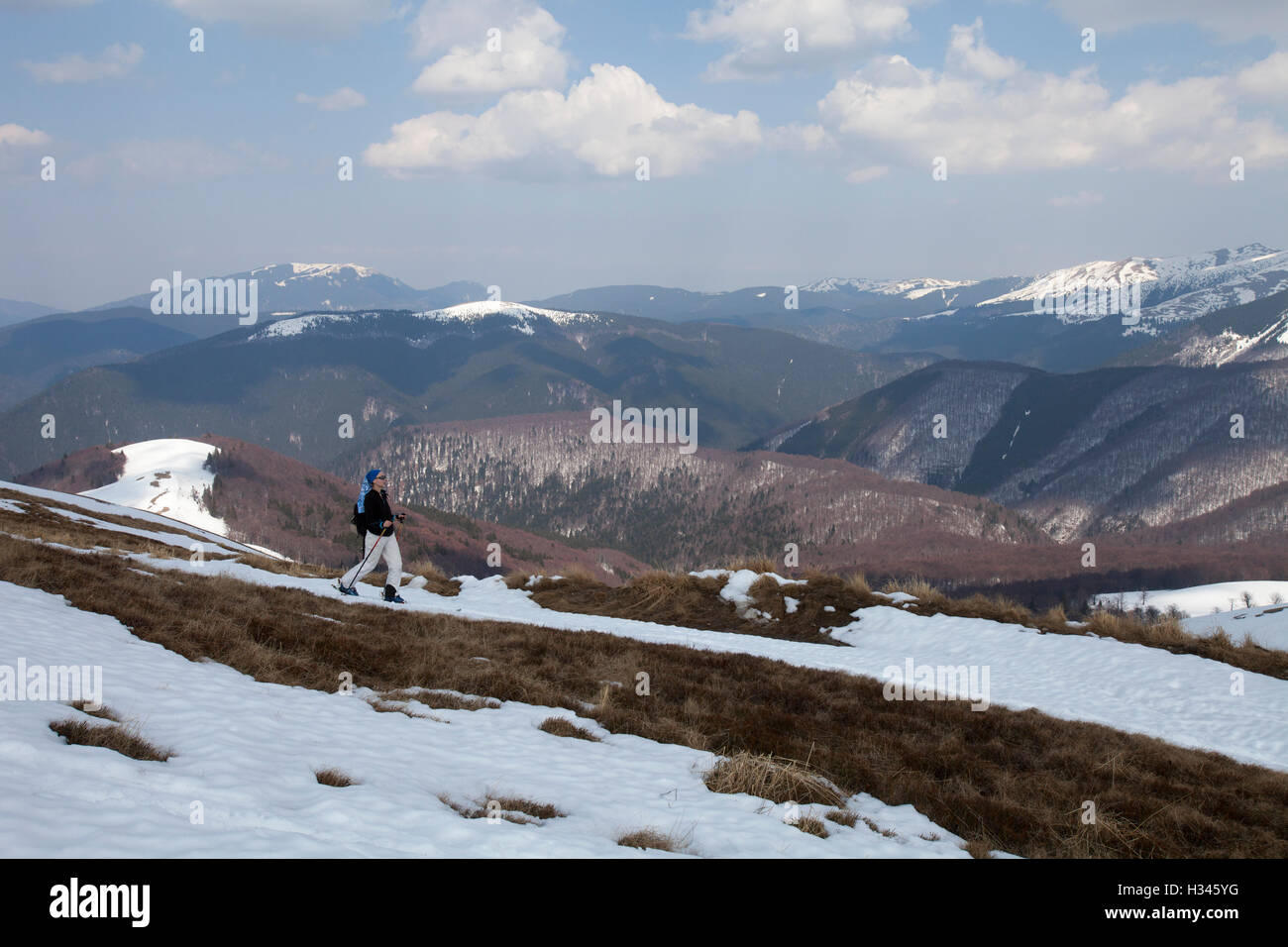Tourists are seen skiing on the slopes of Baiului Carpathian mountains Stock Photo
