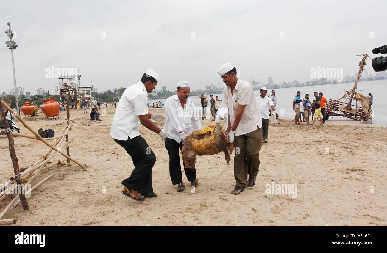 Dabbawalas clean the Chowpatty beach in Mumbai, India on September 16, 2016, and remove the leftover Stock Photo