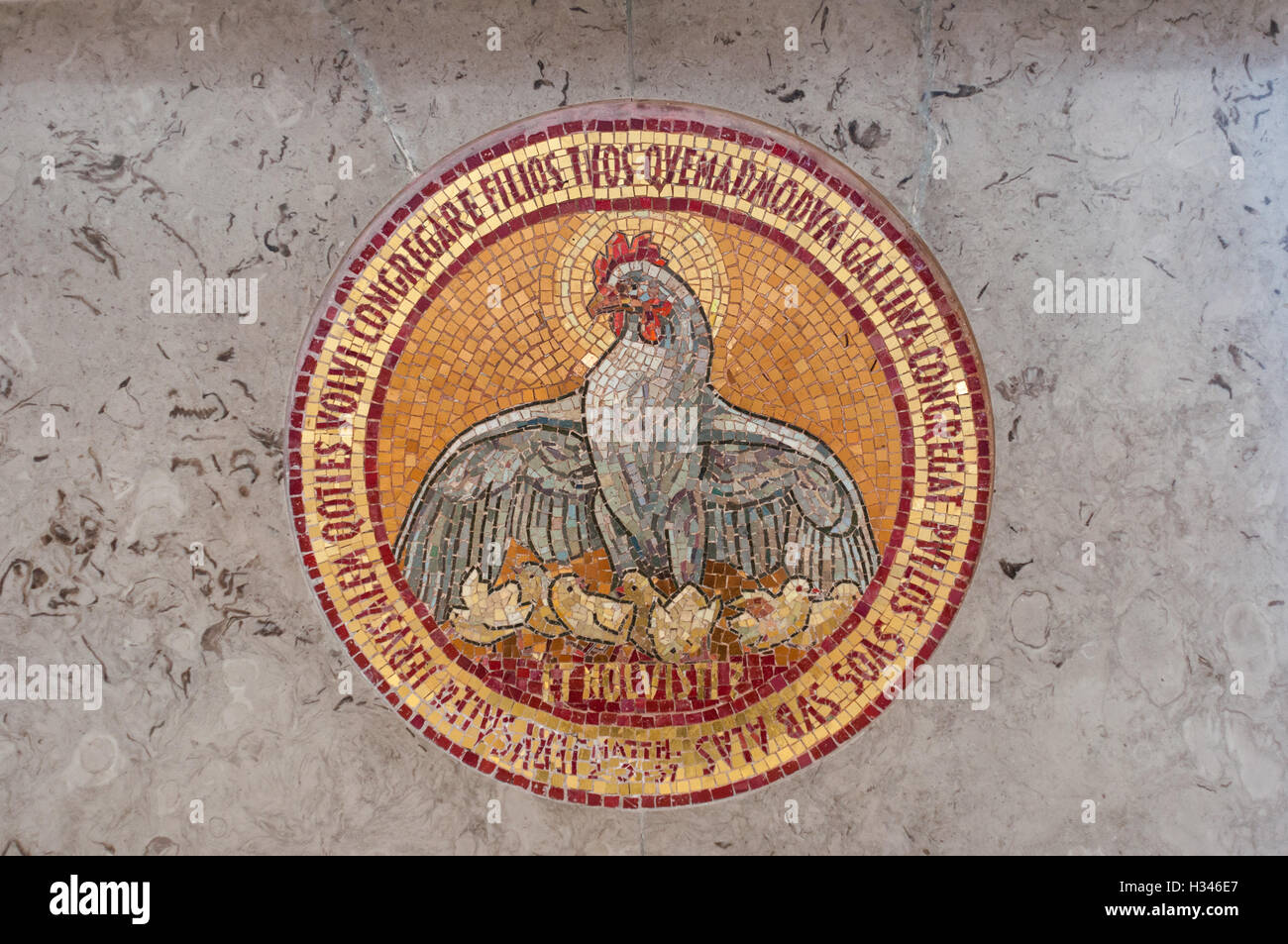 Detail of mosaic in church including a chicken with chicks and bible verse Stock Photo