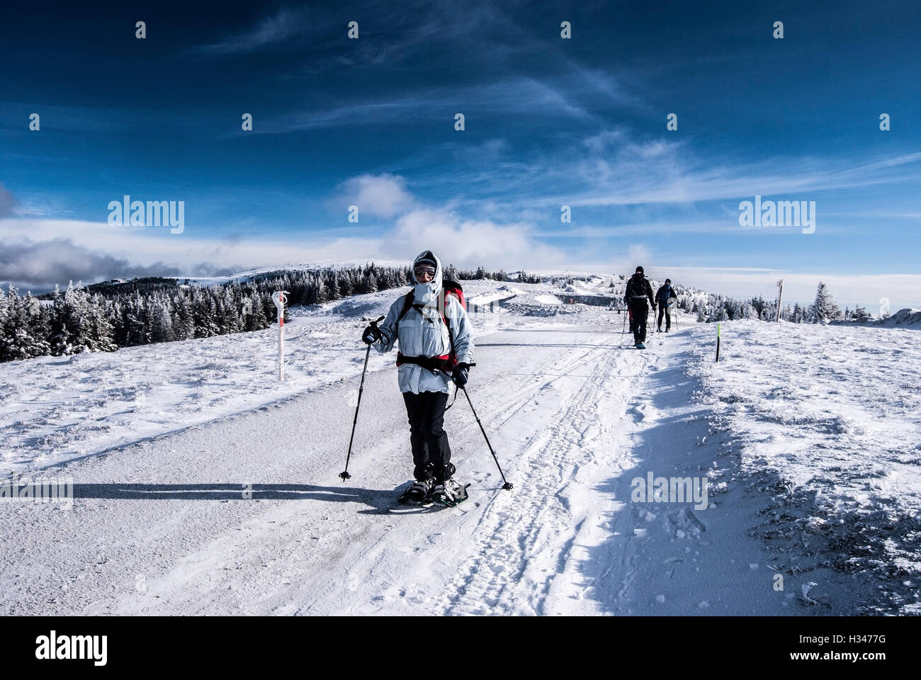 snowshoeing in winter Fischbacher Alpen mountain range near Geiereck hill in Styria Stock Photo