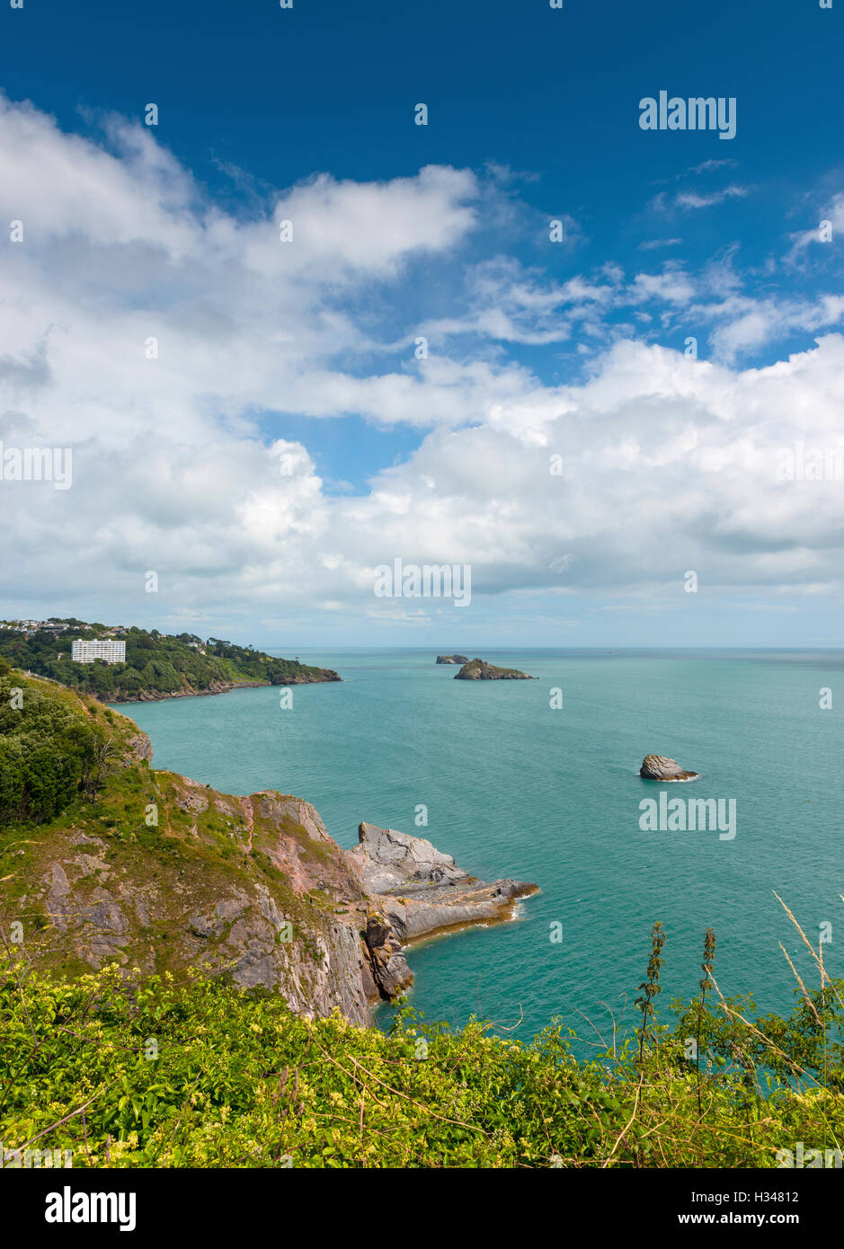 View from Daddy Hole, Torquay, South Hams, Devon, UK, Stock Photo