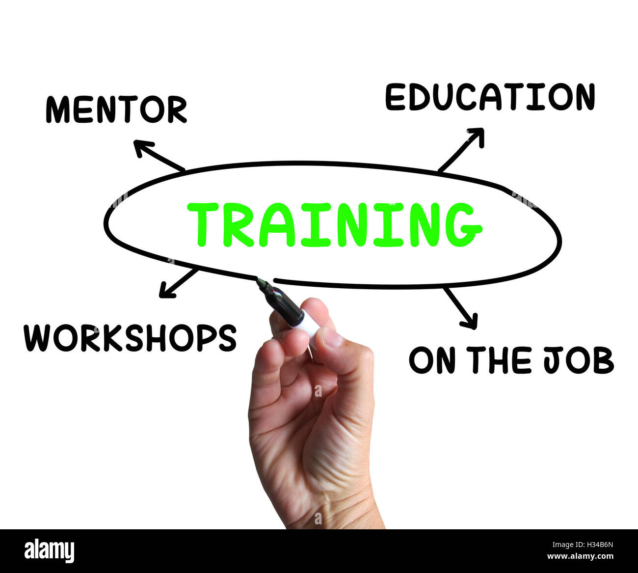 Training Diagram Shows Mentorship Education And Job Preparation Stock Photo