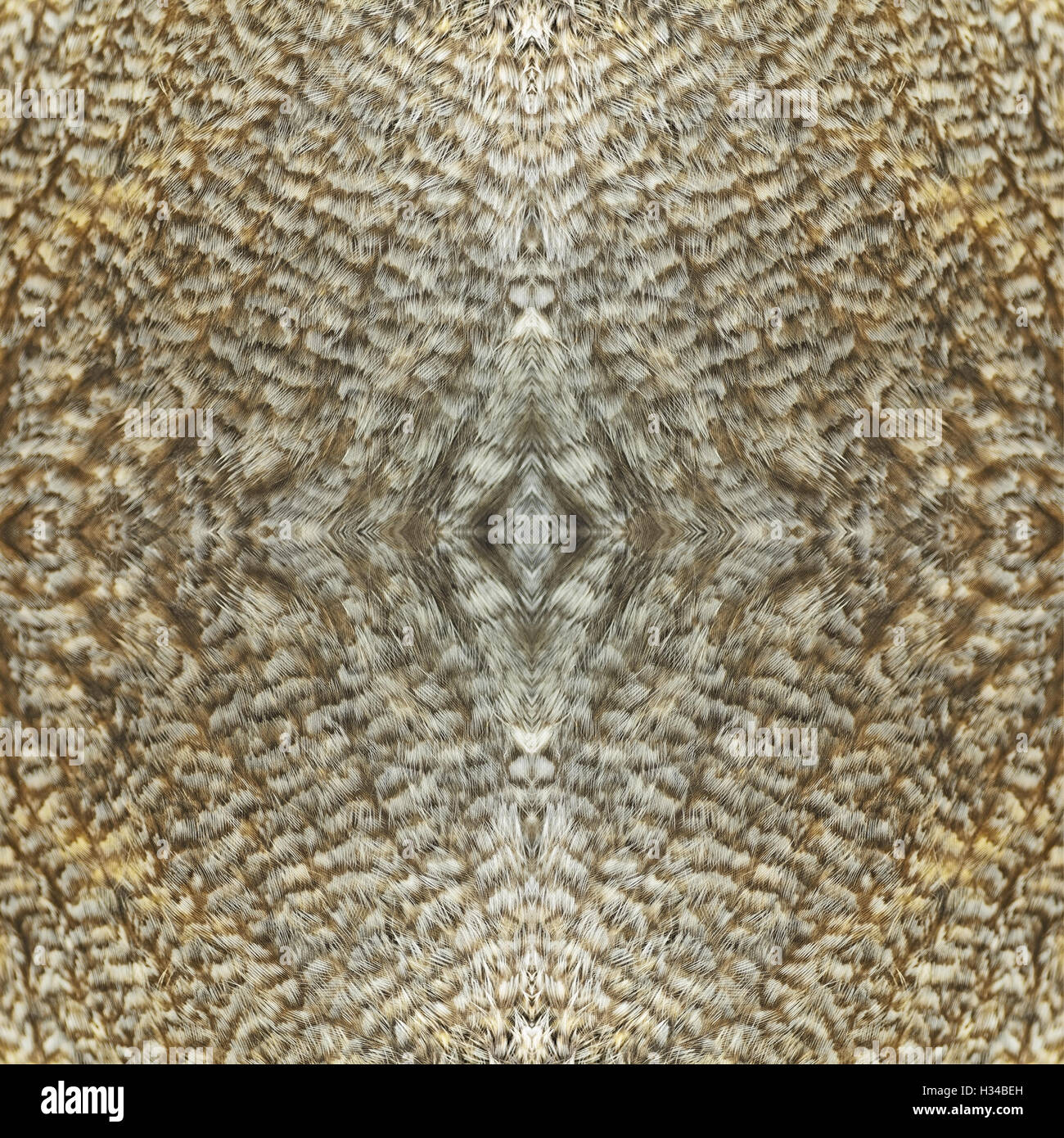 Seamless wild animal pattern hi-res stock photography and images - Alamy