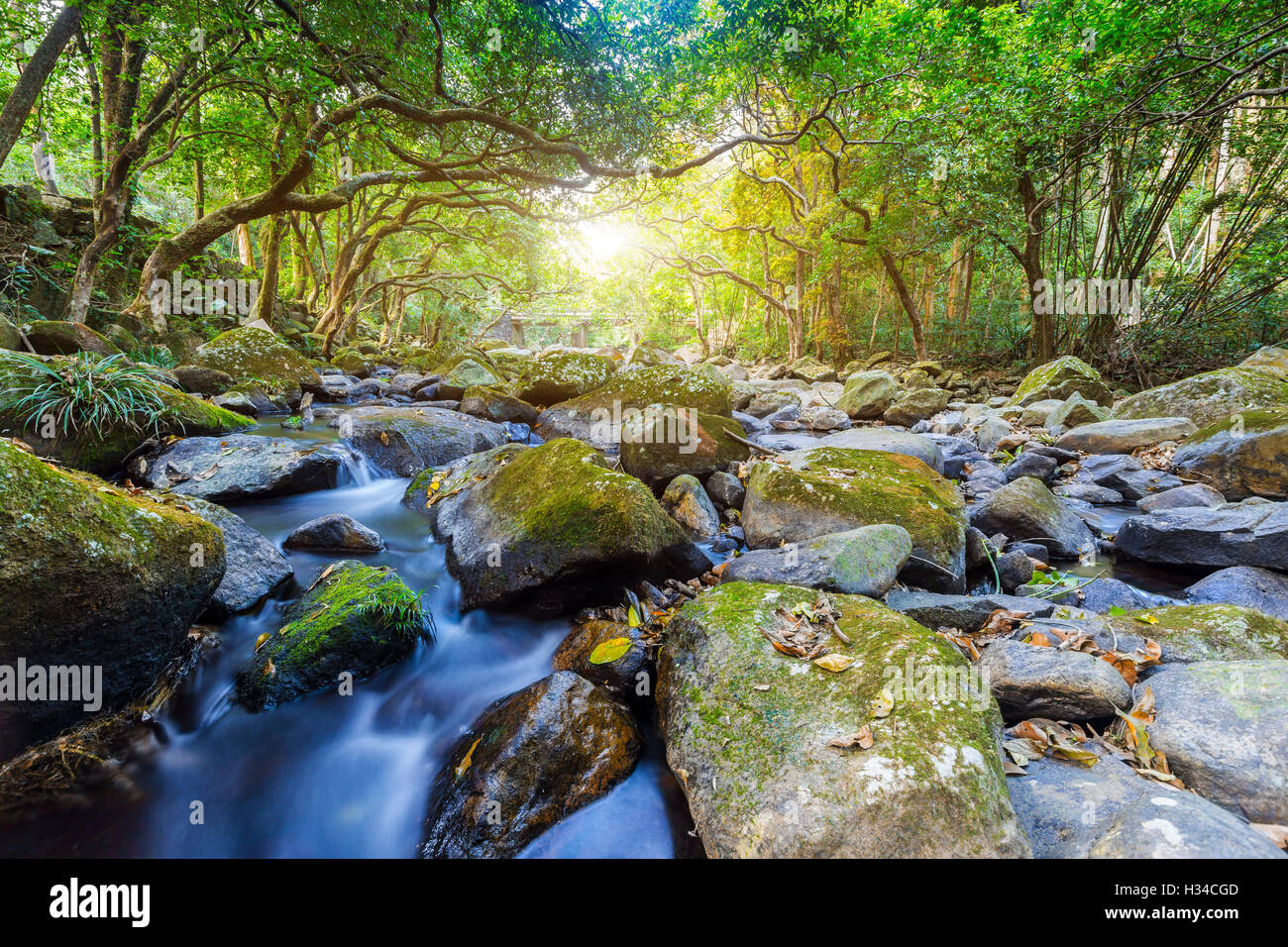 Flow flowing stream river creek hi-res stock photography and images - Alamy