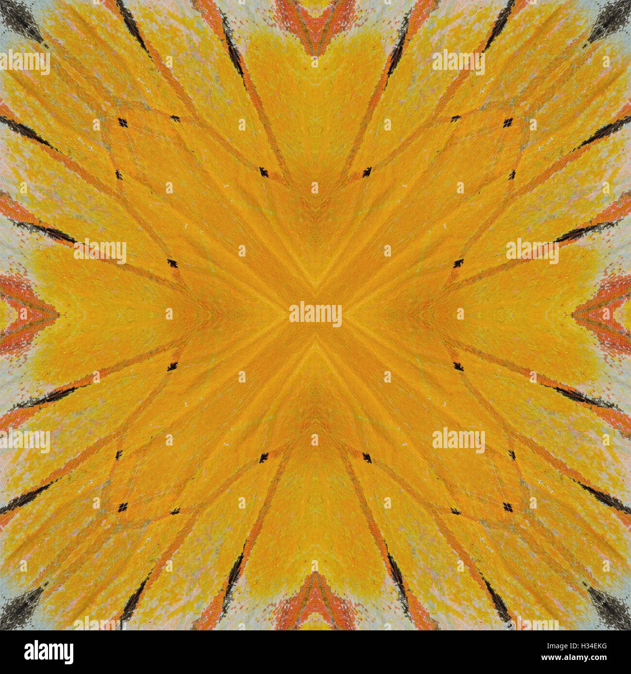Wing pattern detail hi-res stock photography and images - Alamy