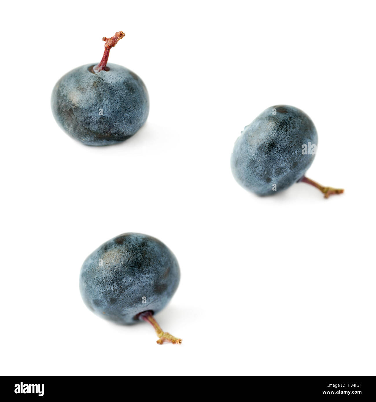 Set of Single berry of Bilberry or blueberry over isolated white ...