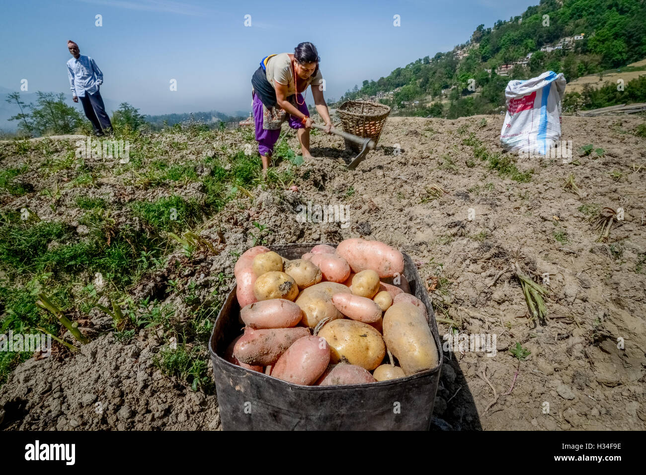 Farming In Nepal Stock Photos & Farming In Nepal Stock Images Alamy