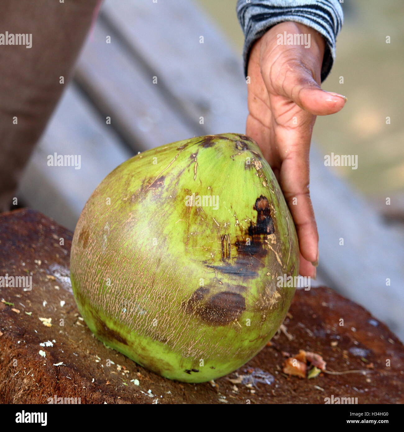 Coconut preparation cutting Stock Photo Alamy