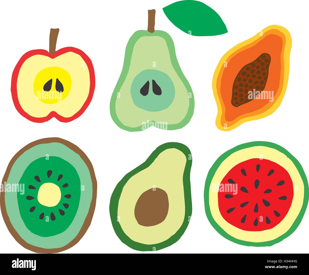 Kiwi fruit growing Stock Vector Images - Alamy