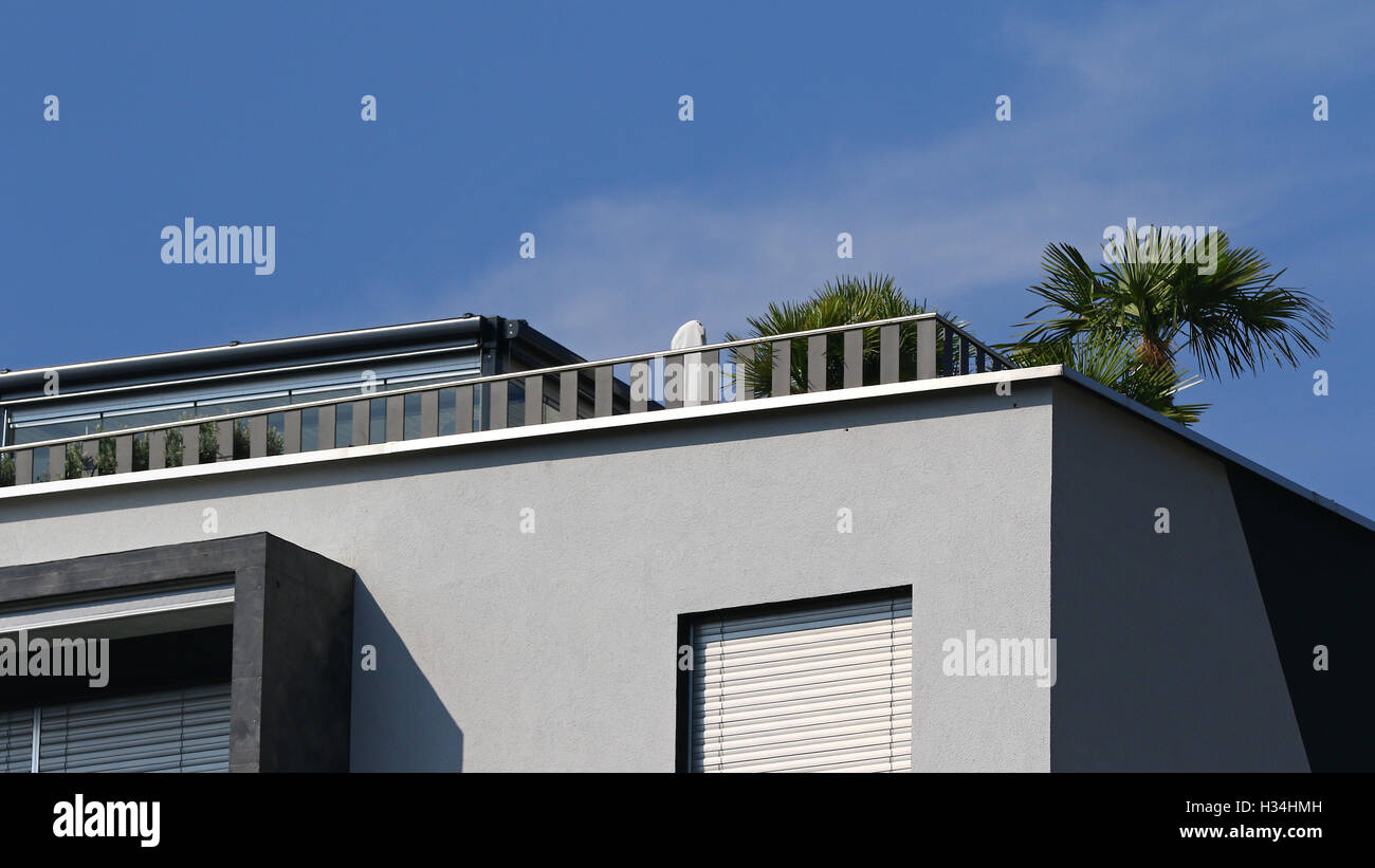 Corner penthouse with palm trees against blue skies Stock Photo - Alamy