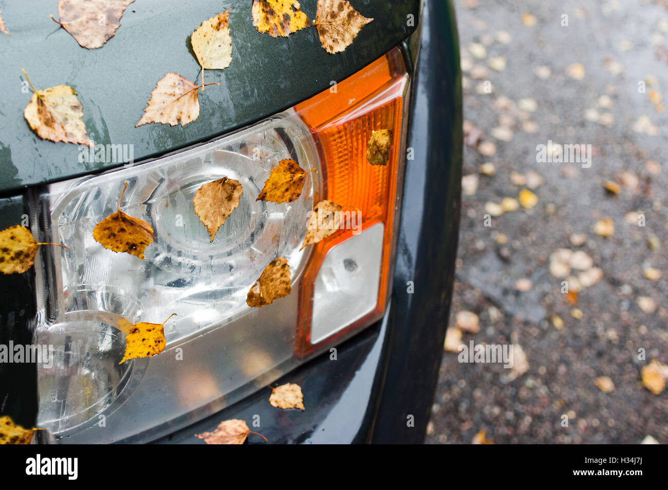 Autumn Leaves On Car Stock Photo - Alamy