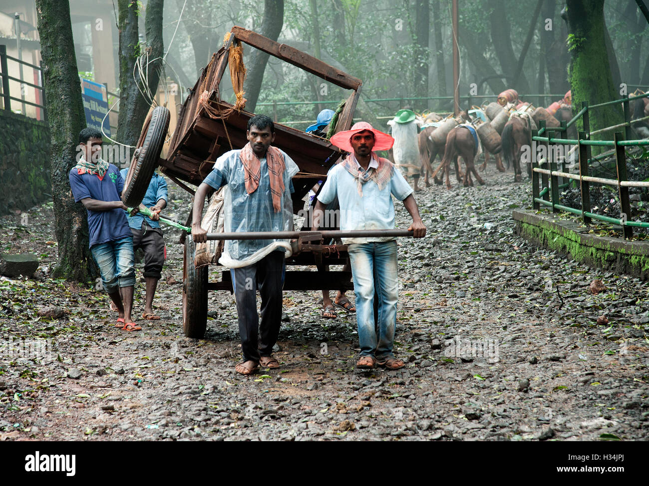 Indian cart puller hires stock photography and images Alamy