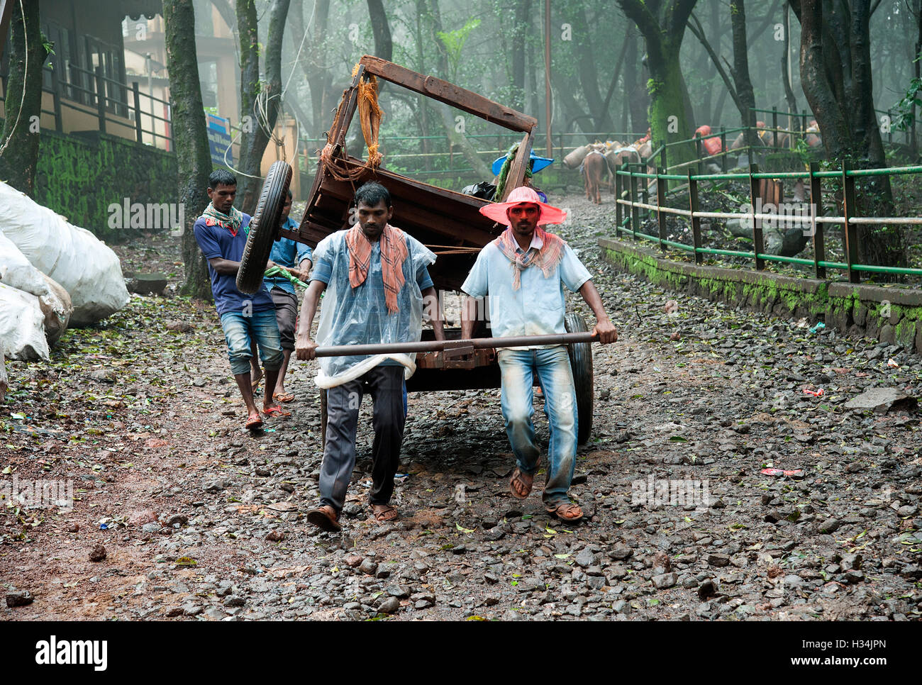 Indian cart puller hires stock photography and images Alamy