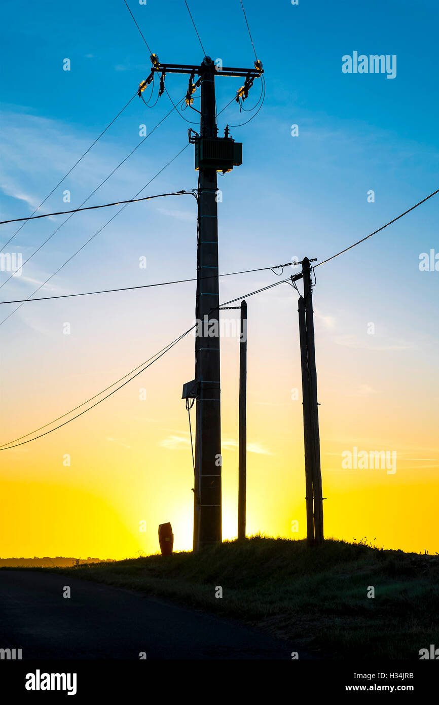 Electricity and telephone poles silhouetted against sun - France. Stock Photo