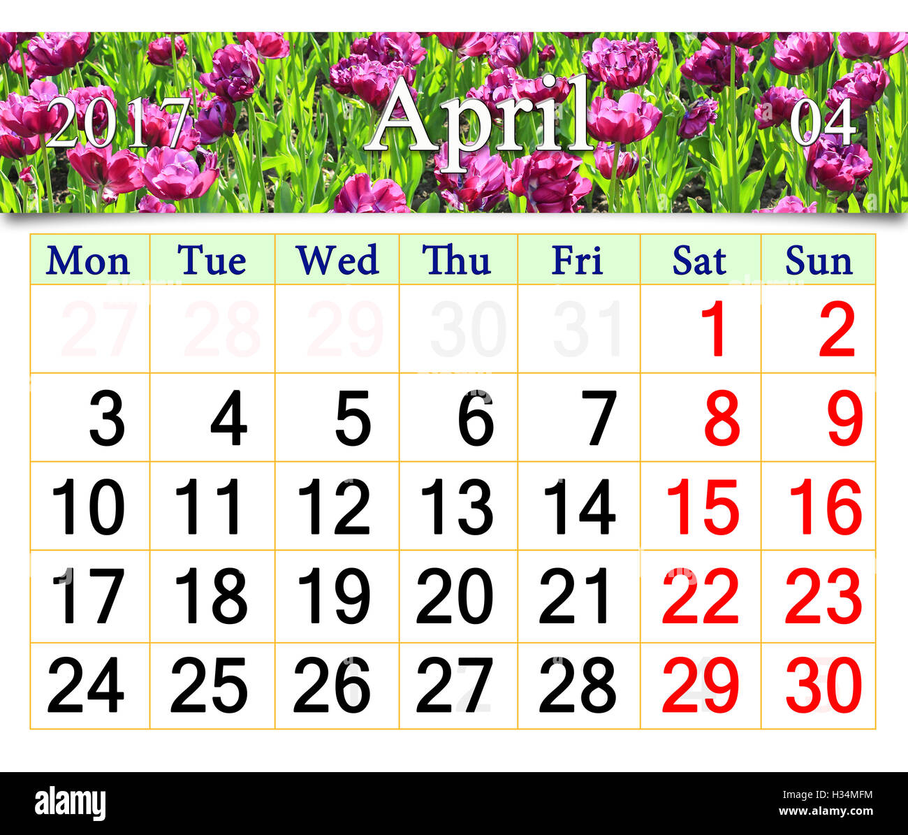 calendar for April 2017 with flower bed of lilac tulips Stock Photo Alamy calendar for April 2017 with flower bed of lilac tulips Stock Photo Alamy