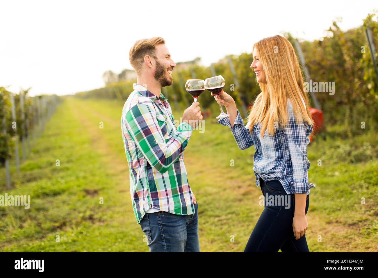 Young happy couple holding glasses of wine in the grape fields Stock Photo