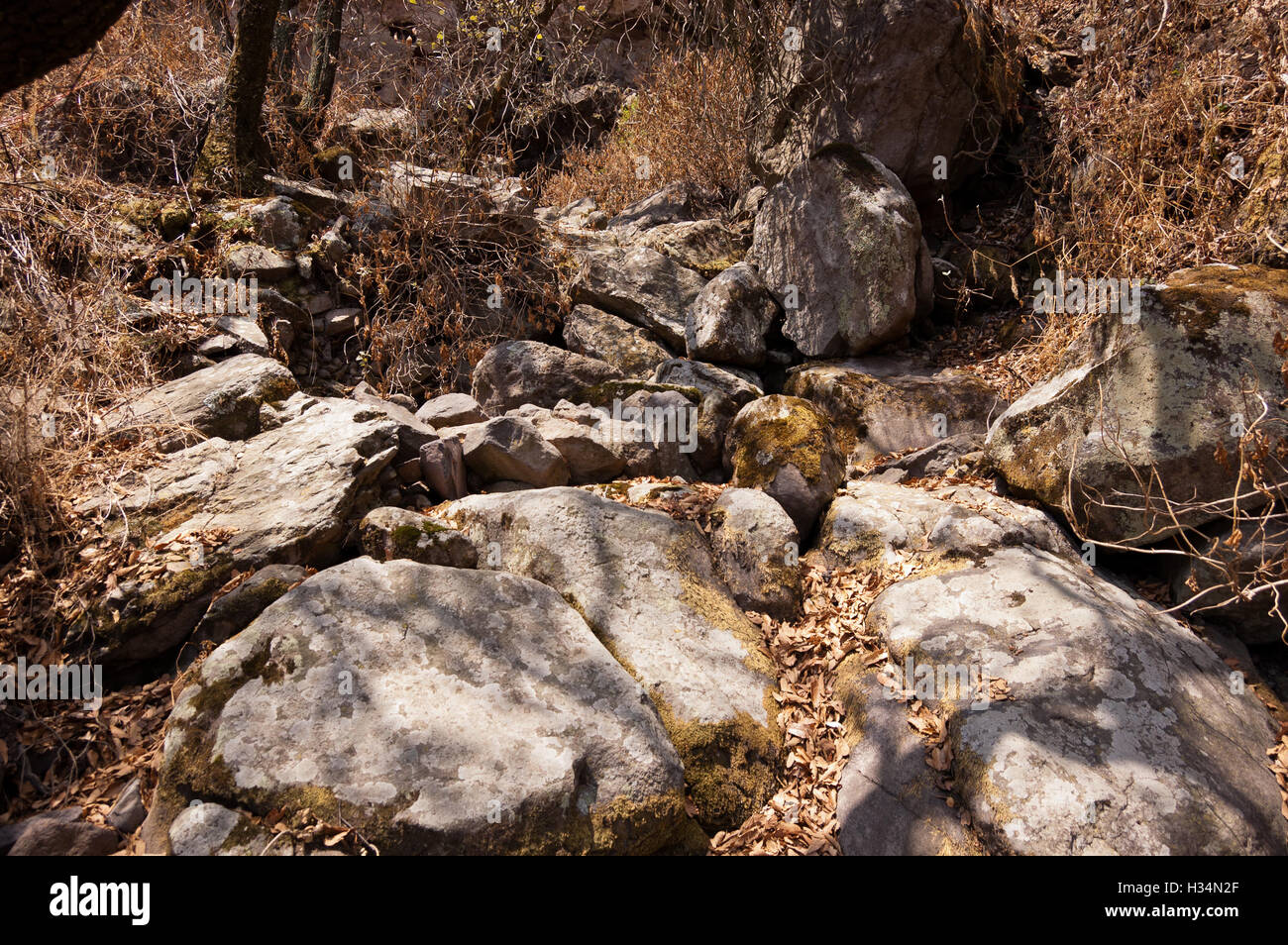 Dry stream bed in central Mexico Stock Photo