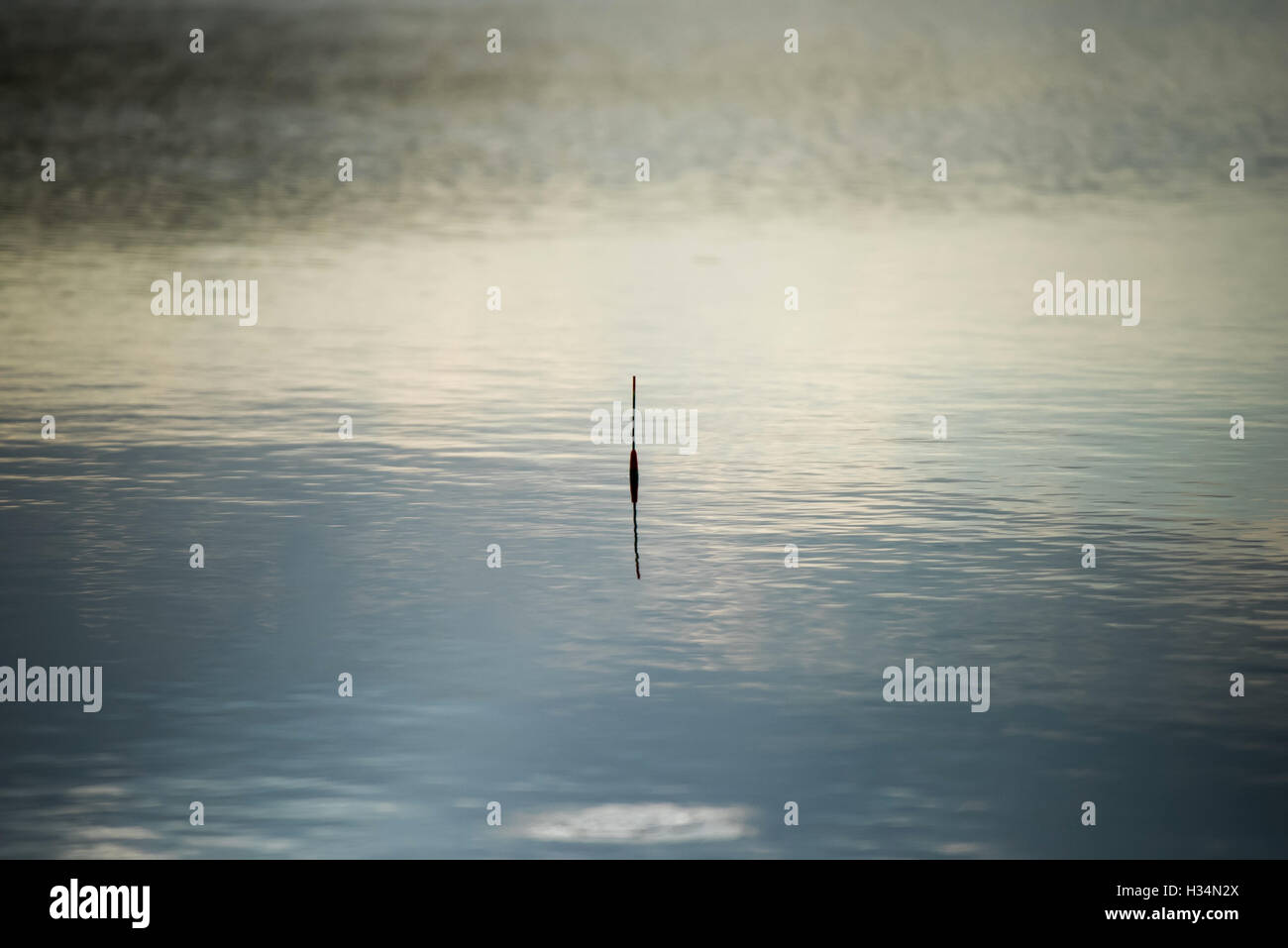 Fishing Bobber on the water. Fishing Stock Photo Alamy