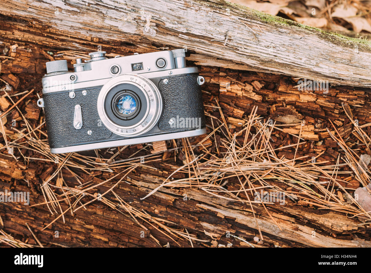 35mm Vintage Old Retro Rangefinder Camera On Old Fallen Wood Tree In Forest. Stock Photo