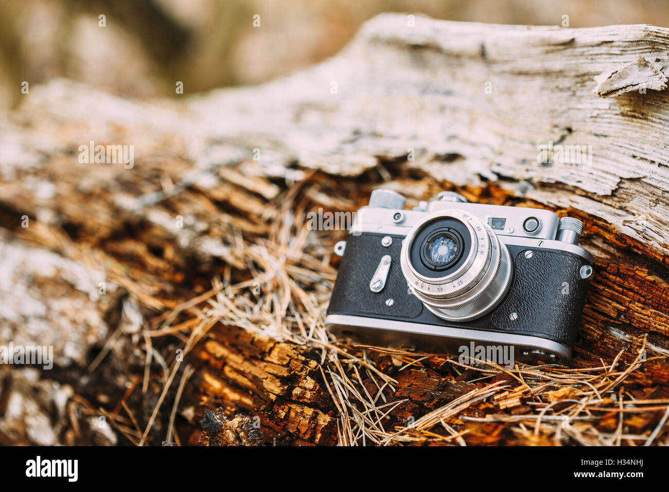 35mm Vintage Old Retro Small-Format Rangefinder Camera On Old Fallen Wood Tree In Forest. Stock Photo