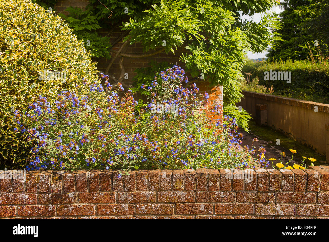 Over the front garden wall is a glimpse of a small cottage garden Stock Photo