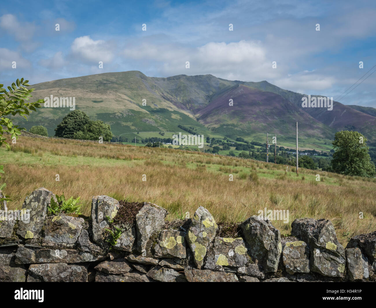 View towards the heather covered slopes of Blencathra, mountain in the English Lake District national park, UK Stock Photo