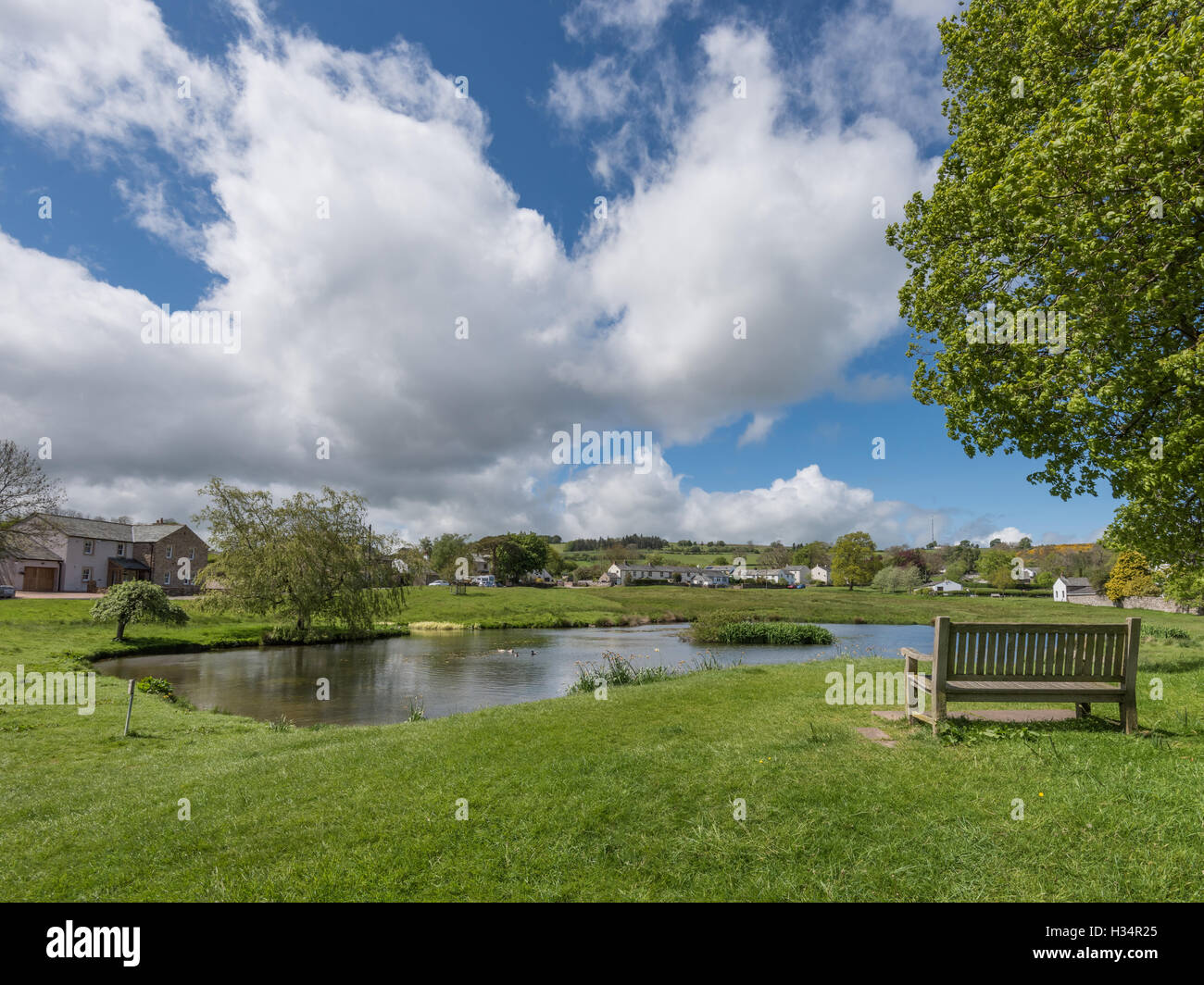 Duck pond in the village of Caldbeck, Cumbria, England Stock Photo
