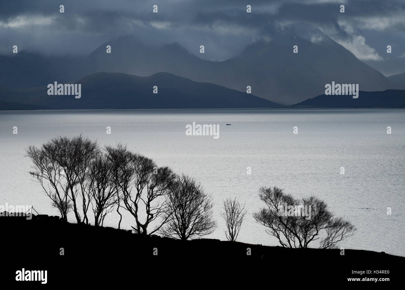 Silhouetted trees on the Applecross peninsular with the Inner Sound and the Isle of Skye in the background Stock Photo