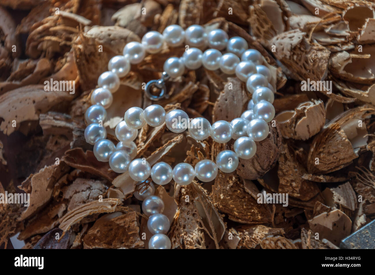 akoya pearl necklace Stock Photo
