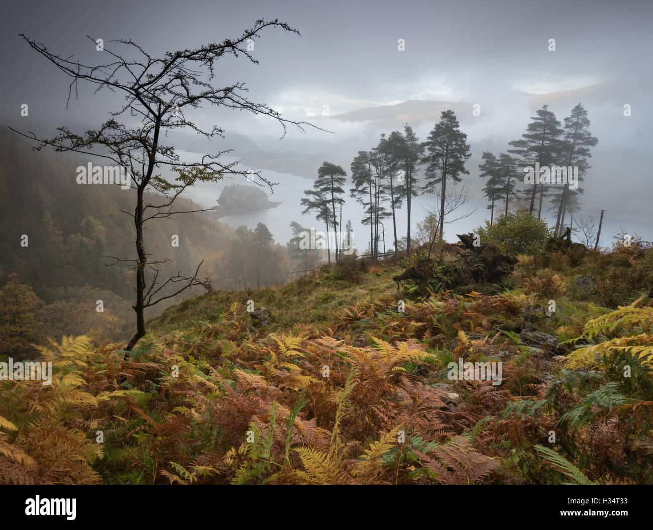 Misty autumn day above Thirlmere in the English Lake District national park, UK Stock Photo