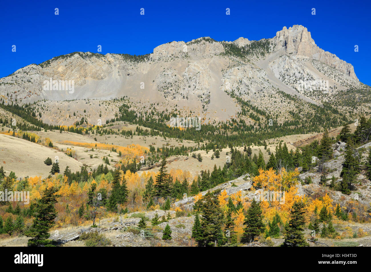 fall colors below castle reef along the rocky mountain front near augusta, montana Stock Photo