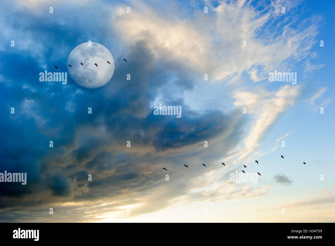 Moon clouds birds is a colorful surreal cloudscape with a flock of silhouetted birds flying by and a full moon rising in the sky Stock Photo