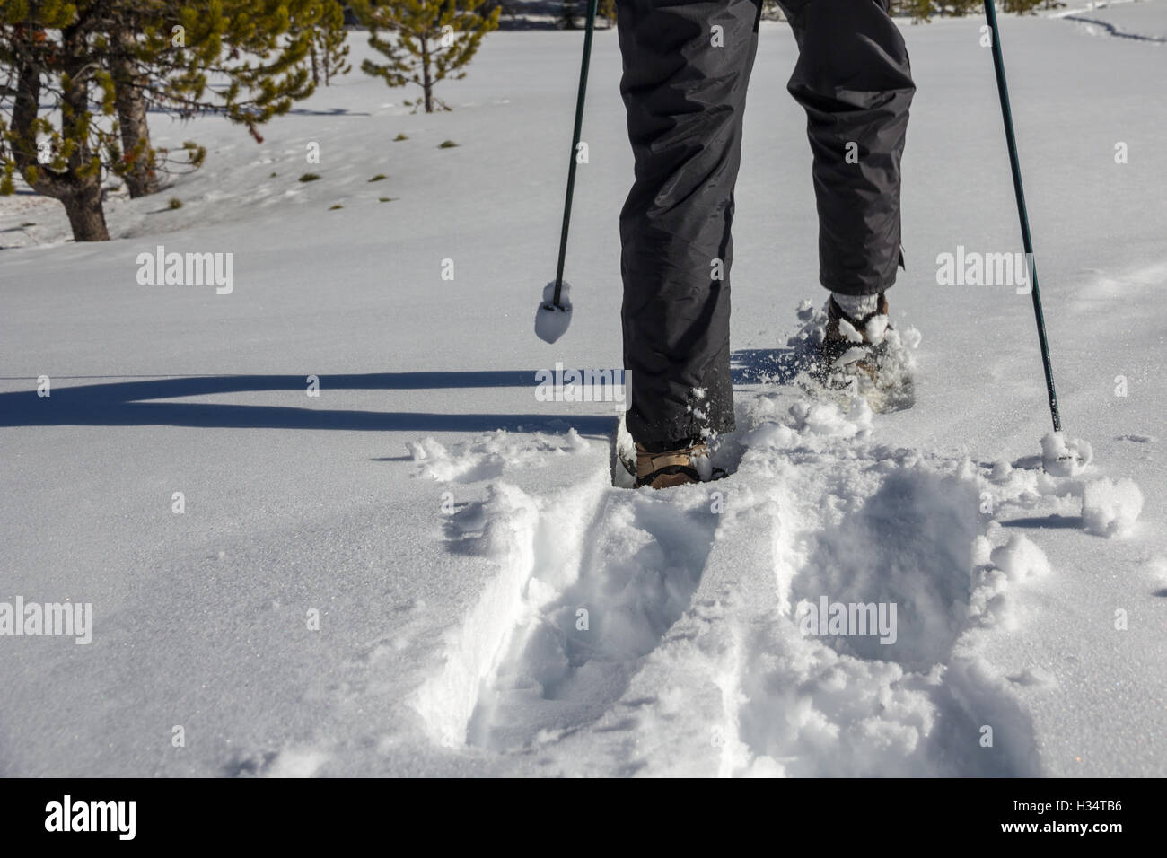 Close up snowshoes hires stock photography and images Alamy