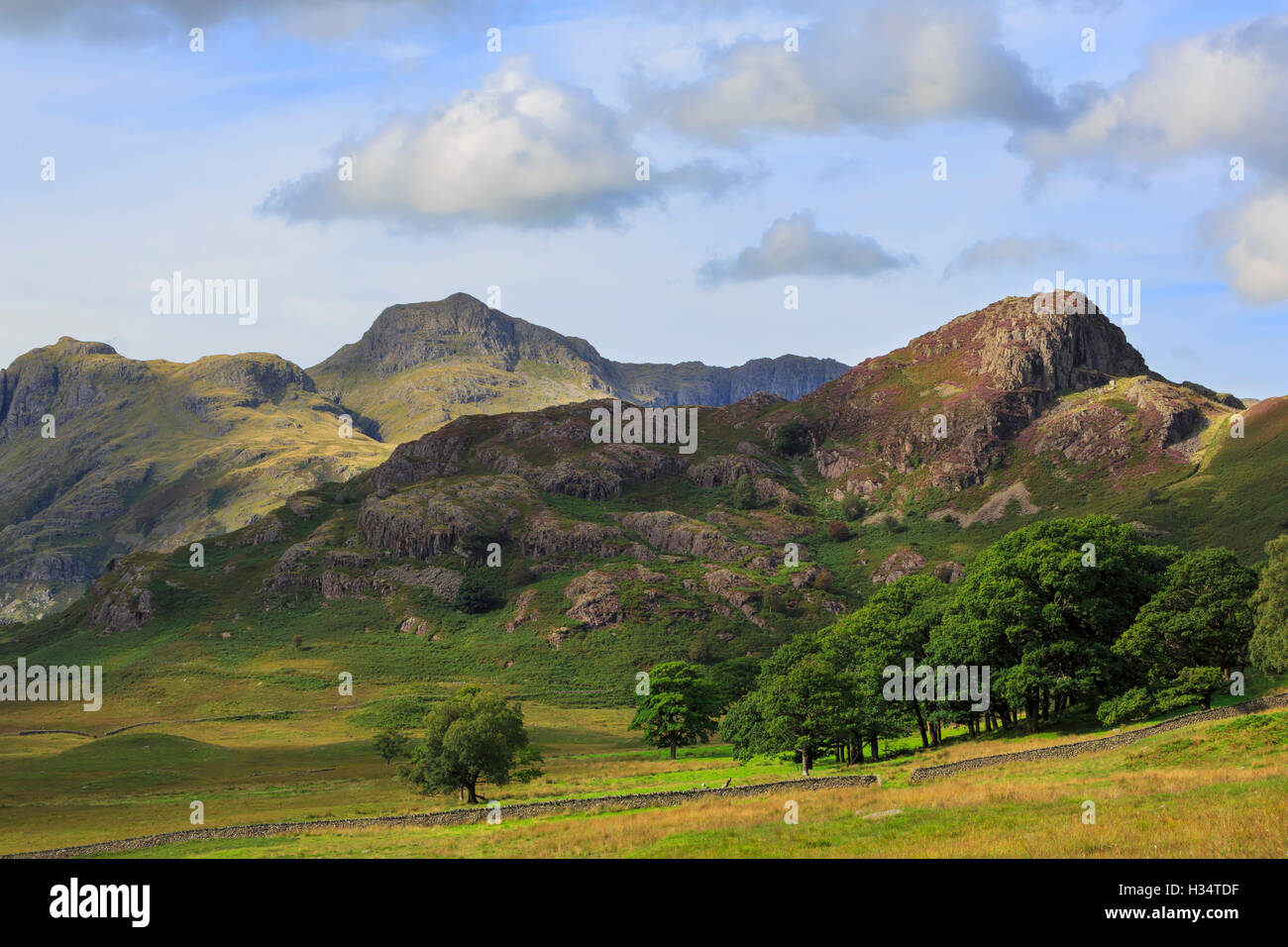 Side Pike and the Langdale Pikes, Lake District, Cumbria Stock Photo