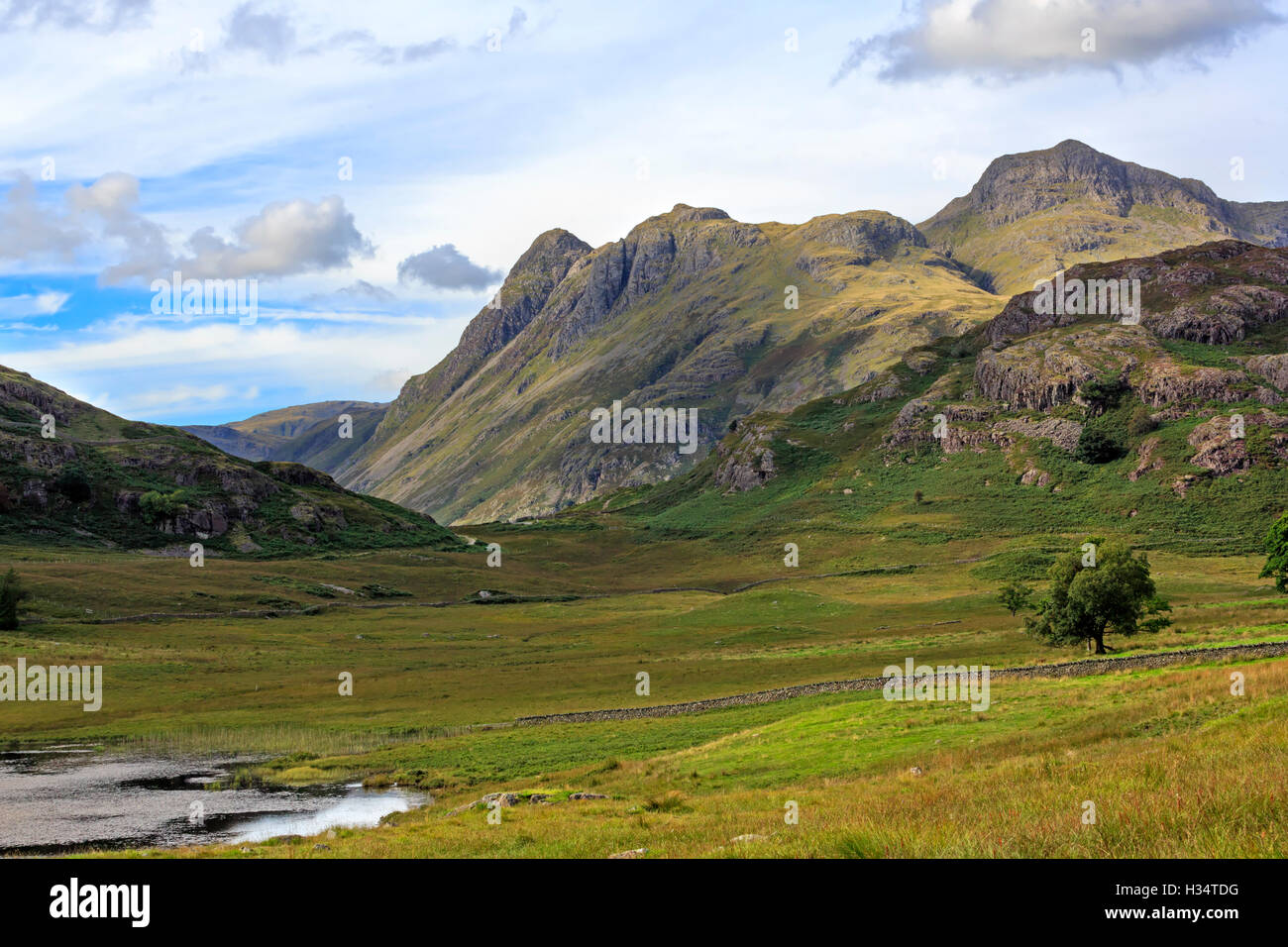 Langdale Pikes from Blea Tarn, Lake District, Cumbria Stock Photo